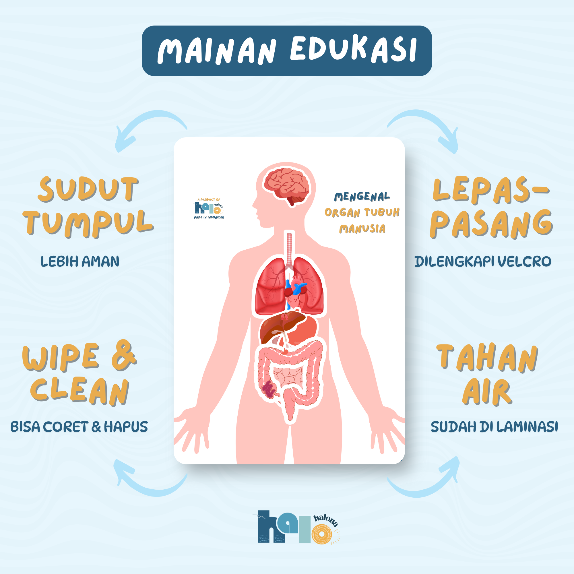 Mainan Edukasi Busy Page Mengenal Organ Dalam Tubuh Manusia Wipe and Clean