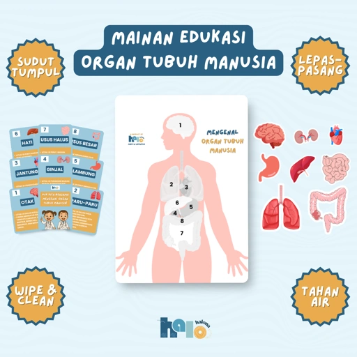 Image of Mainan Edukasi Busy Page Mengenal Organ Dalam Tubuh Manusia Wipe and Clean