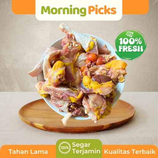 Ayam Kampung Liar Biang Asli Lemak untuk KALDU MPASI