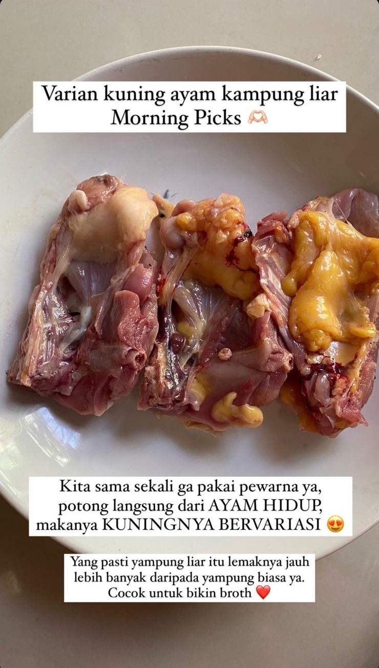 Ayam Kampung Liar Biang Asli Lemak untuk KALDU MPASI