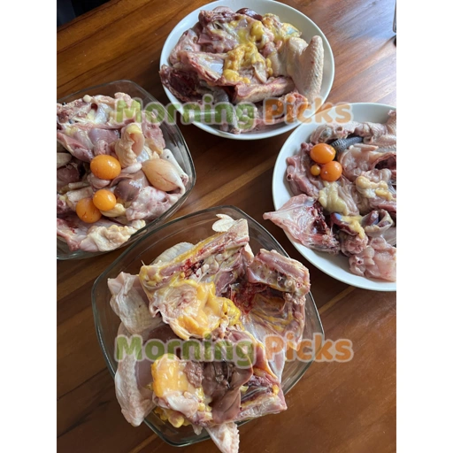 Ayam Kampung Liar Biang Asli Lemak untuk KALDU MPASI