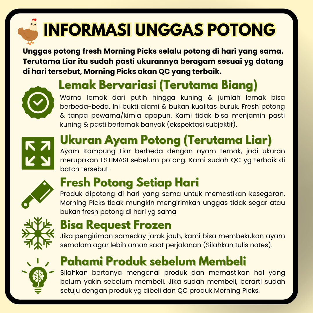 Ayam Kampung Liar Biang Asli Lemak untuk KALDU MPASI