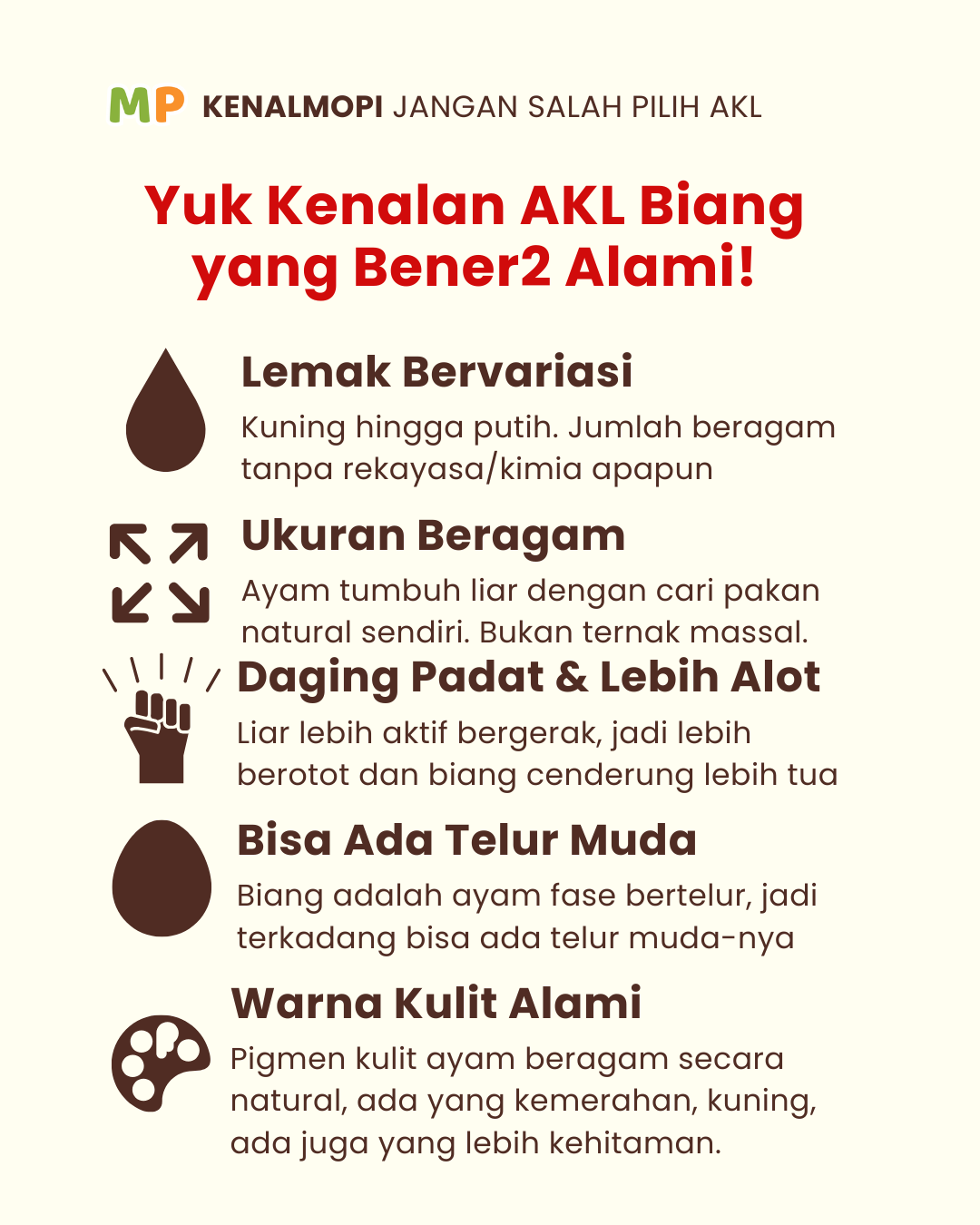 Ayam Kampung Liar Biang Asli Lemak untuk KALDU MPASI