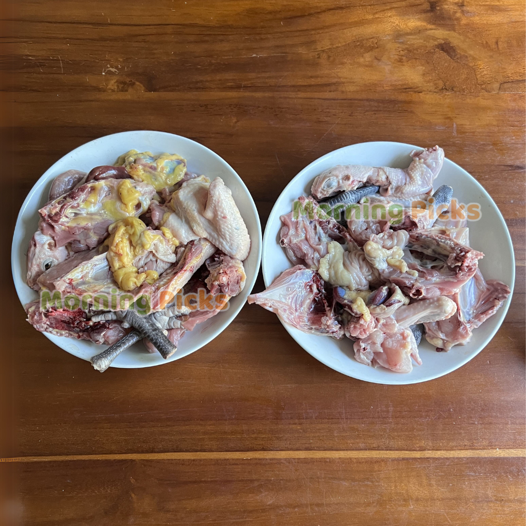 Ayam Kampung Liar Biang Asli Lemak untuk KALDU MPASI