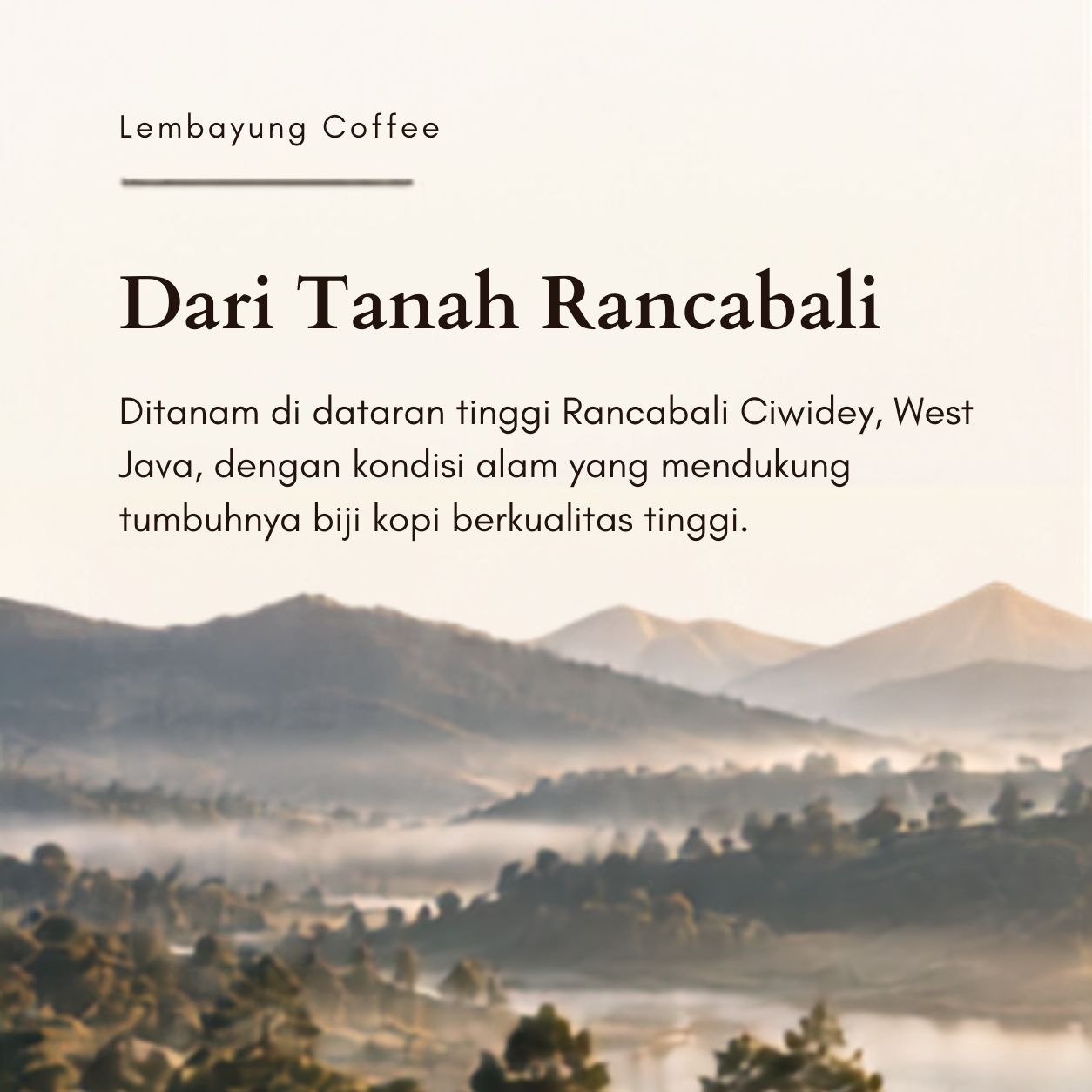 Rancabali Exotic Anaerob | Biji Kopi Arabika Specialty Exotic Fruity Floral Sweet Fermented - Lembayung Coffee