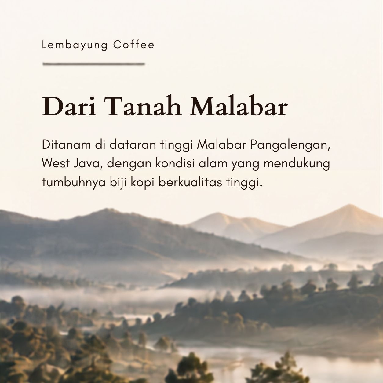 Malabar Tropical Natural | Biji Kopi Arabika Specialty Fruity Tropical Sweet Manual Brew - Lembayung Coffee
