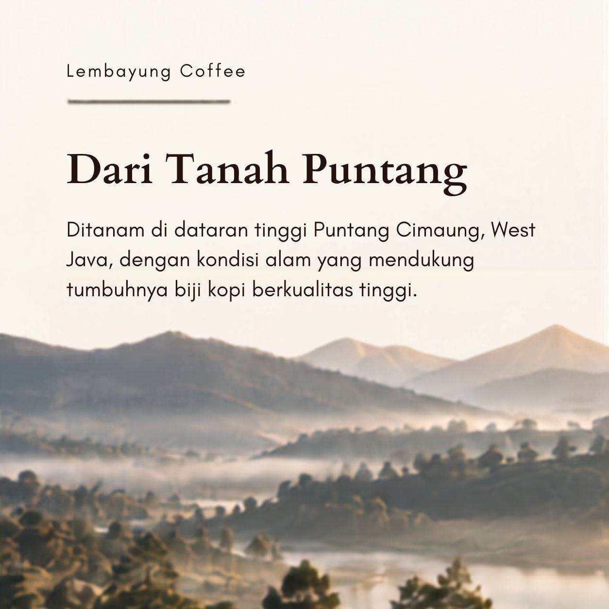Puntang Full Wash | Biji Kopi Arabika Specialty Clean Bright Citrus Smooth Daily Brew - Lembayung Coffee