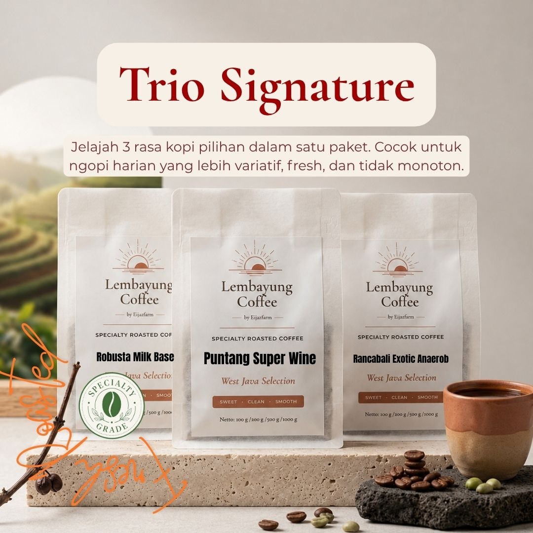 Trio Signature | Paket Jelajah 3 Rasa Kopi 100gr Arabika Specialty Fresh Roasted untuk ngopi sehari hari dan pengalaman mencoba kopi - Lembayung Coffee