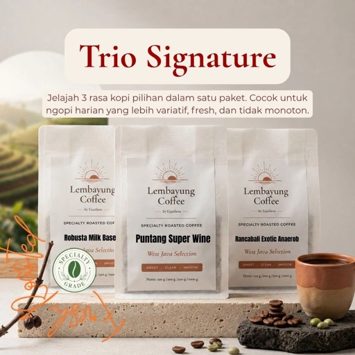 Image of Trio Signature | Paket Jelajah 3 Rasa Kopi 100gr Arabika Specialty Fresh Roasted untuk ngopi sehari hari dan pengalaman mencoba kopi - Lembayung Coffee