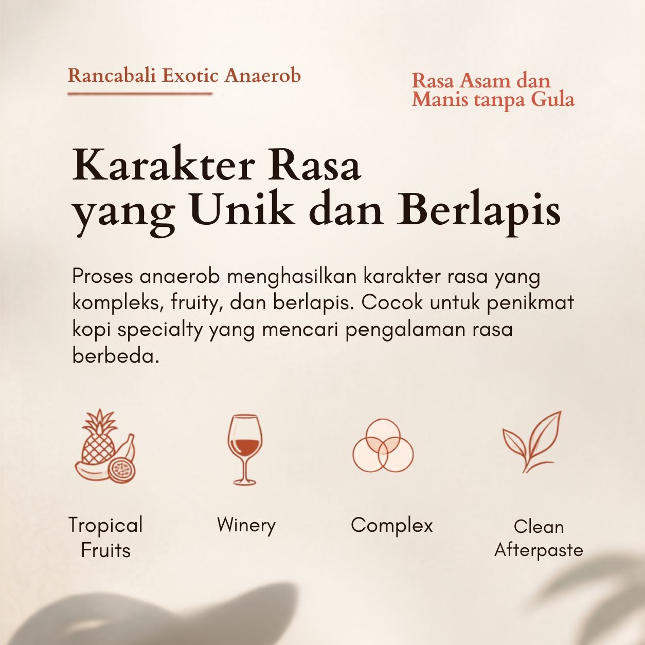 Rancabali Exotic Anaerob | Biji Kopi Arabika Specialty Exotic Fruity Floral Sweet Fermented - Lembayung Coffee