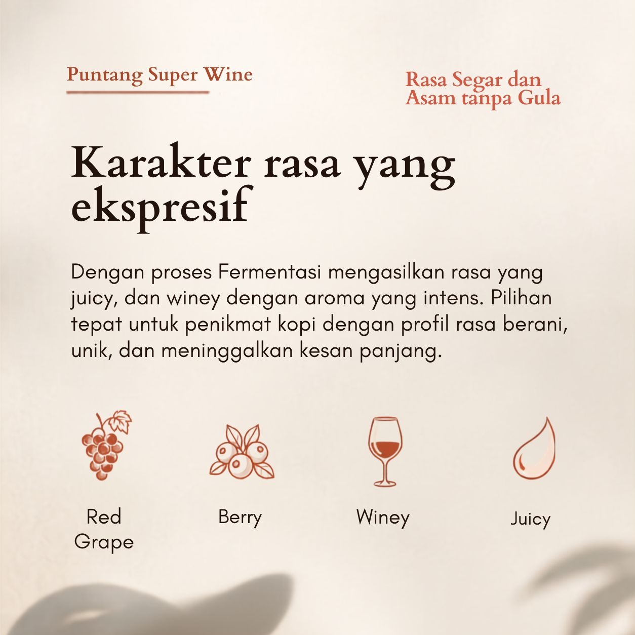 Puntang Super Wine | Biji Kopi Arabika Specialty Winey Fruity Sweet Premium Roast Bean - Lembayung Coffee