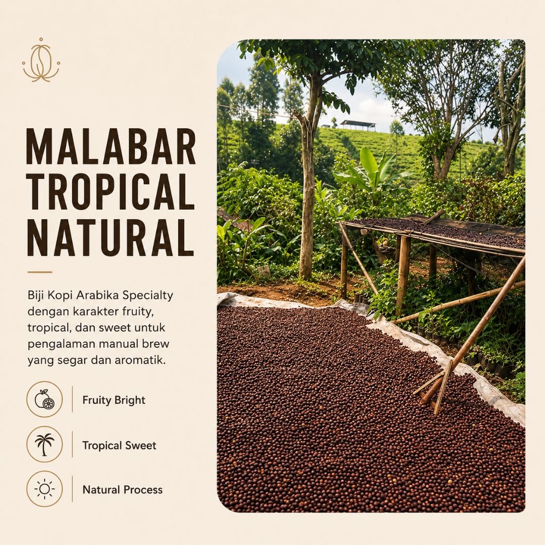 Malabar Tropical Natural | Biji Kopi Arabika Specialty Fruity Tropical Sweet Manual Brew - Lembayung Coffee