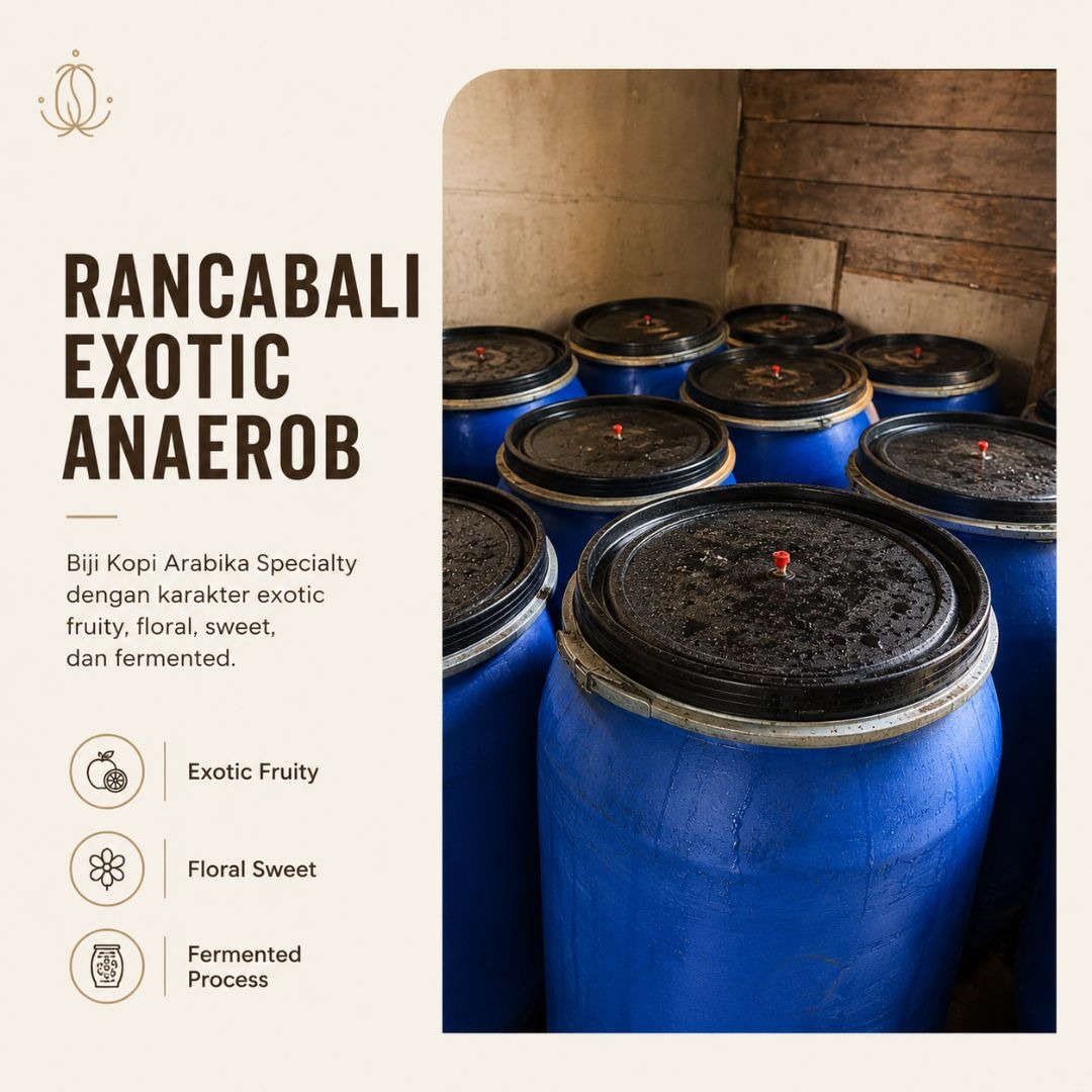 Rancabali Exotic Anaerob | Biji Kopi Arabika Specialty Exotic Fruity Floral Sweet Fermented - Lembayung Coffee