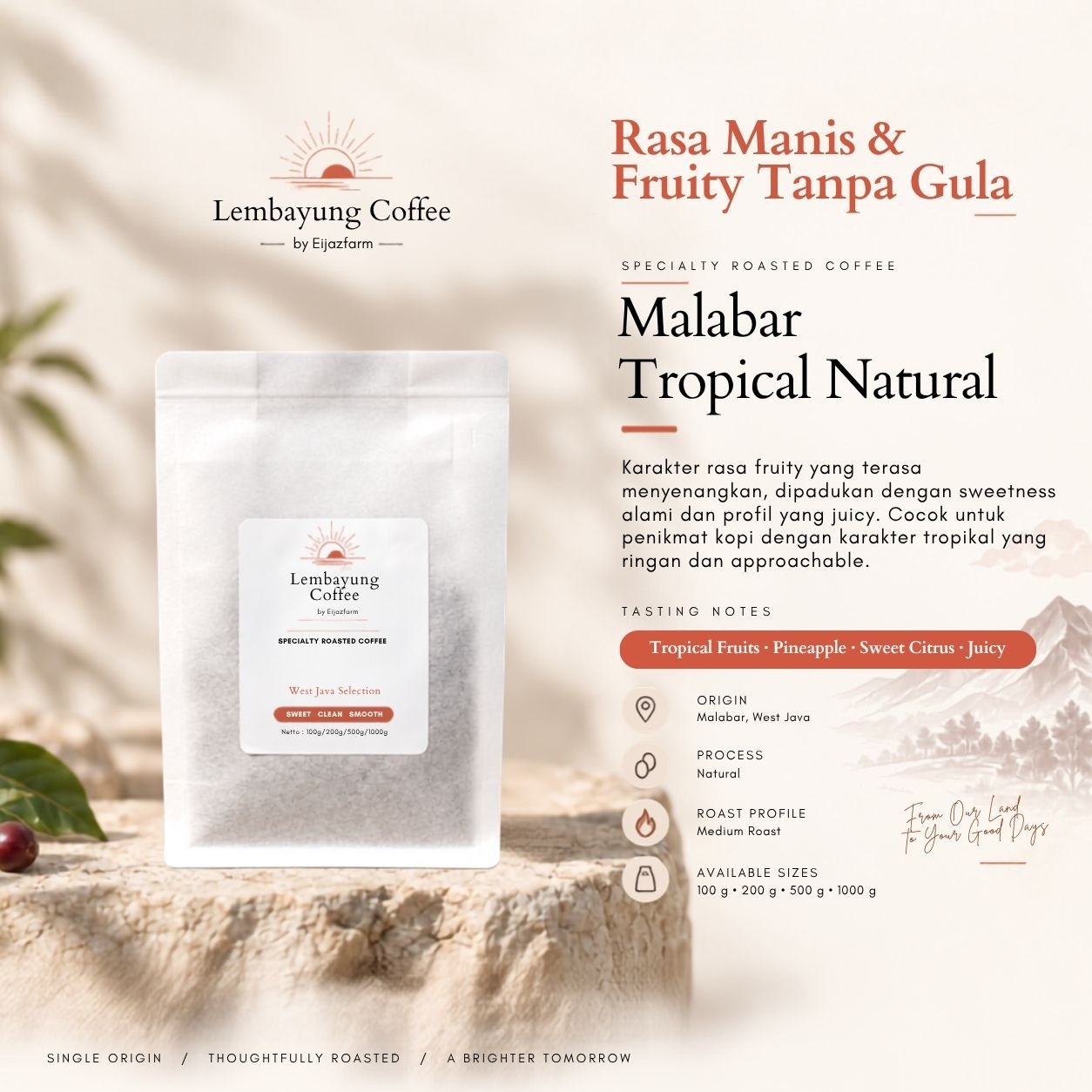 Malabar Tropical Natural | Biji Kopi Arabika Specialty Fruity Tropical Sweet Manual Brew - Lembayung Coffee