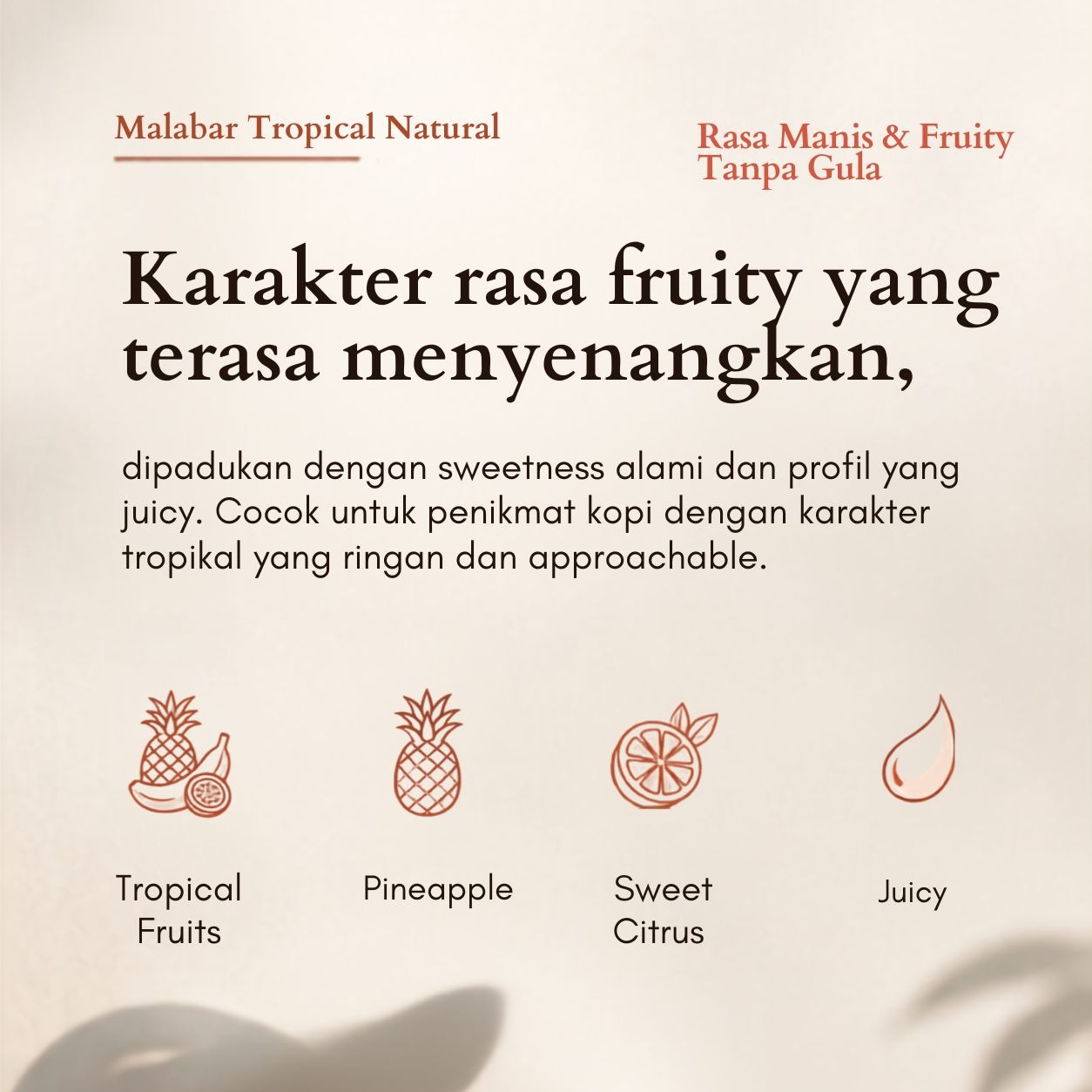 Malabar Tropical Natural | Biji Kopi Arabika Specialty Fruity Tropical Sweet Manual Brew - Lembayung Coffee
