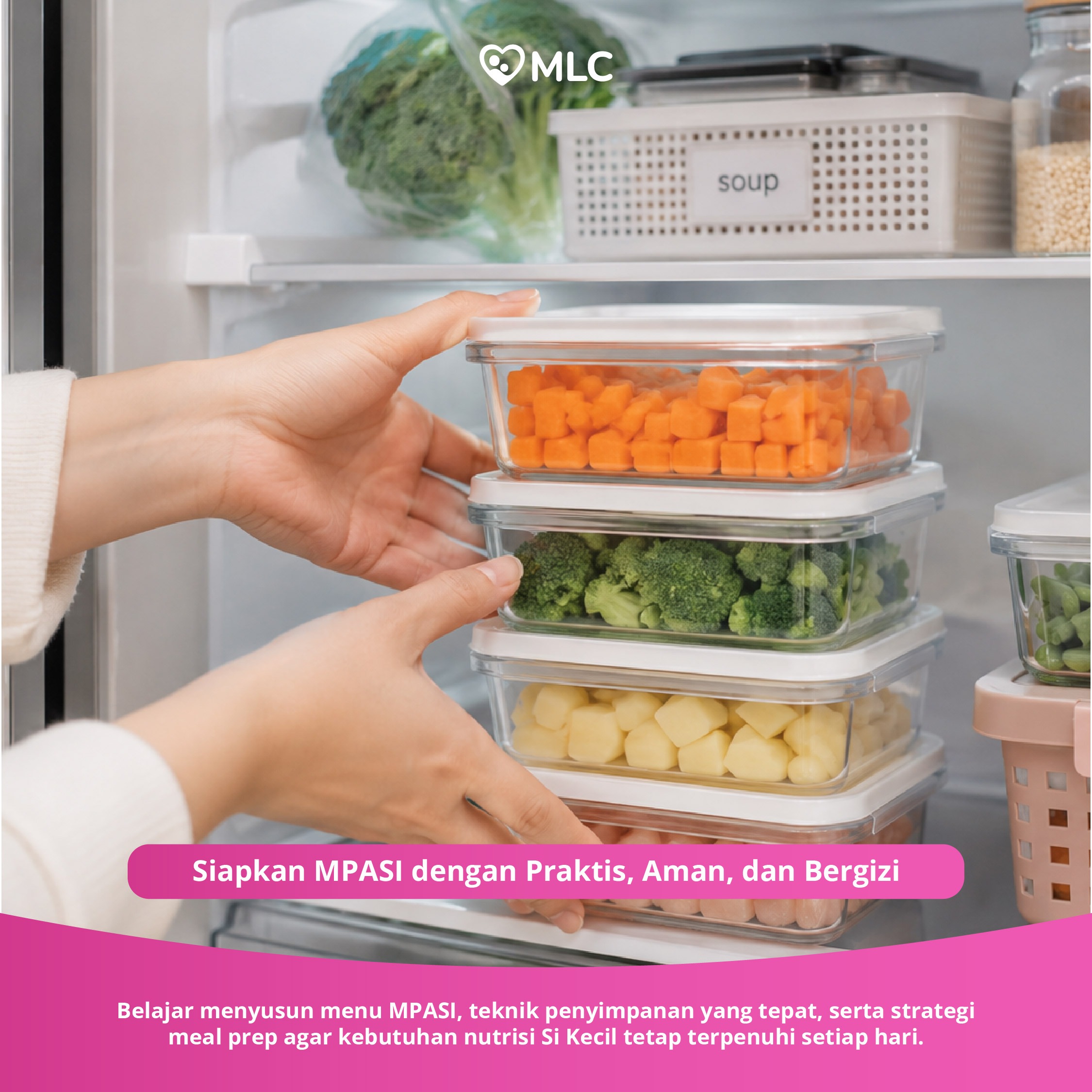MLC - MPASI Class Online