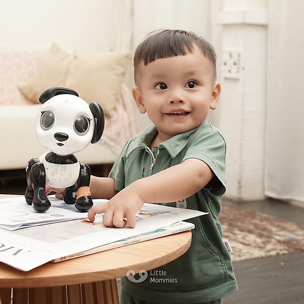 Little Mommies - Leo One Set Kids Wear Premium - Setelan Baju Anak Laki-laki 2 - 5 Tahun