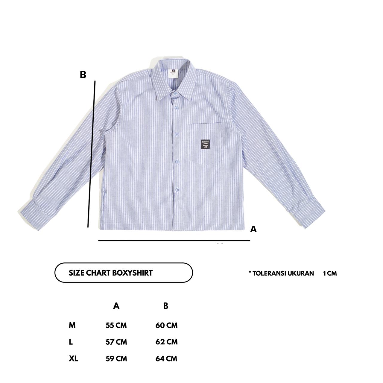 HOKIDOKY STRIPE BOXY LONGSLEEVE SHIRT BLUE