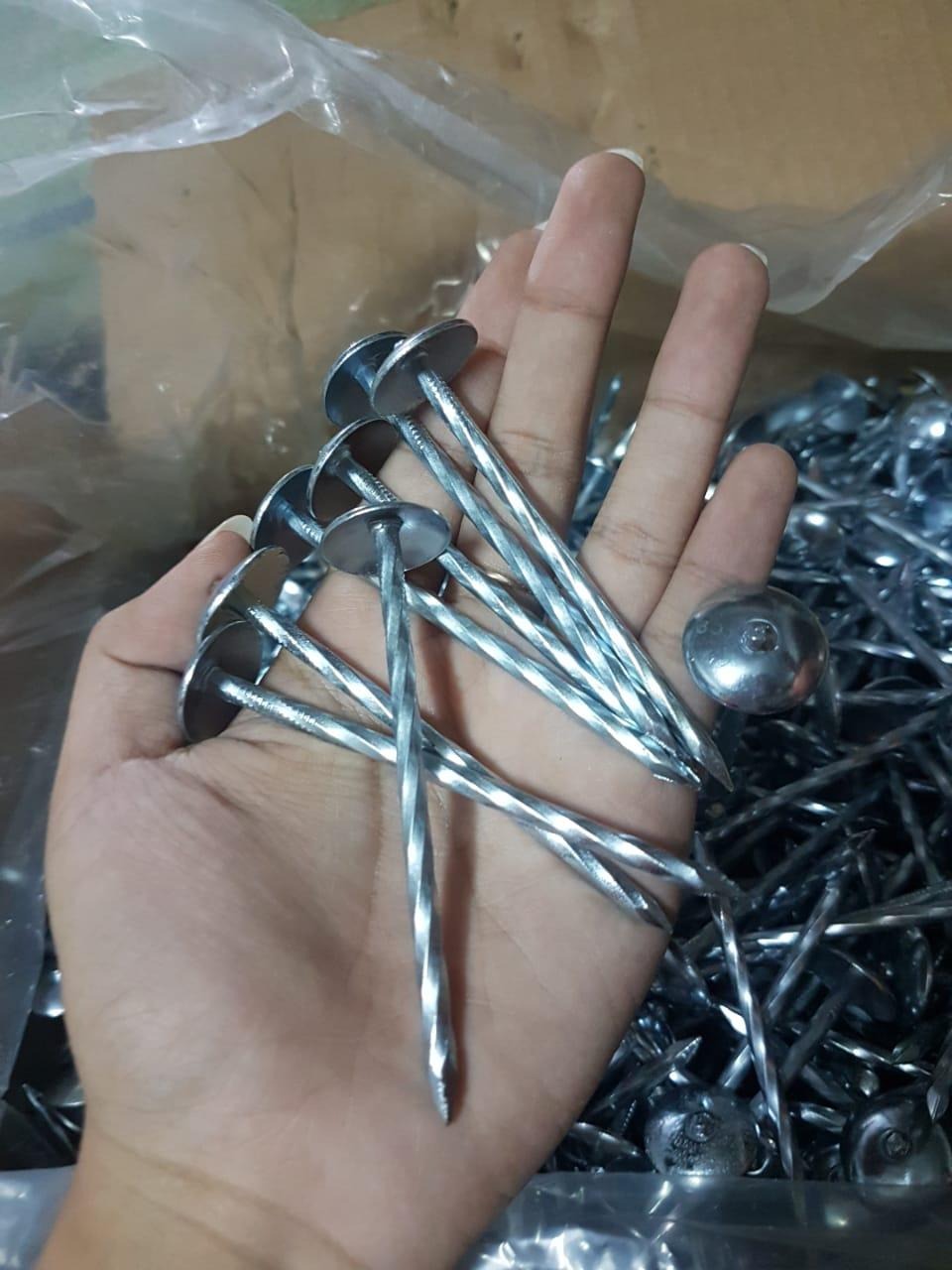 Paku Seng Polos 2" (5cm) dan Paku Seng Ulir 3" (7cm)