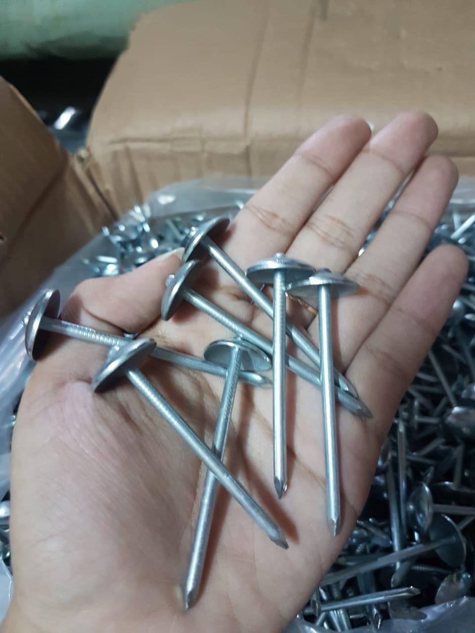 Paku Seng Polos 2" (5cm) dan Paku Seng Ulir 3" (7cm)