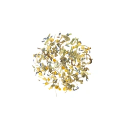Cafeine Free Tisane 