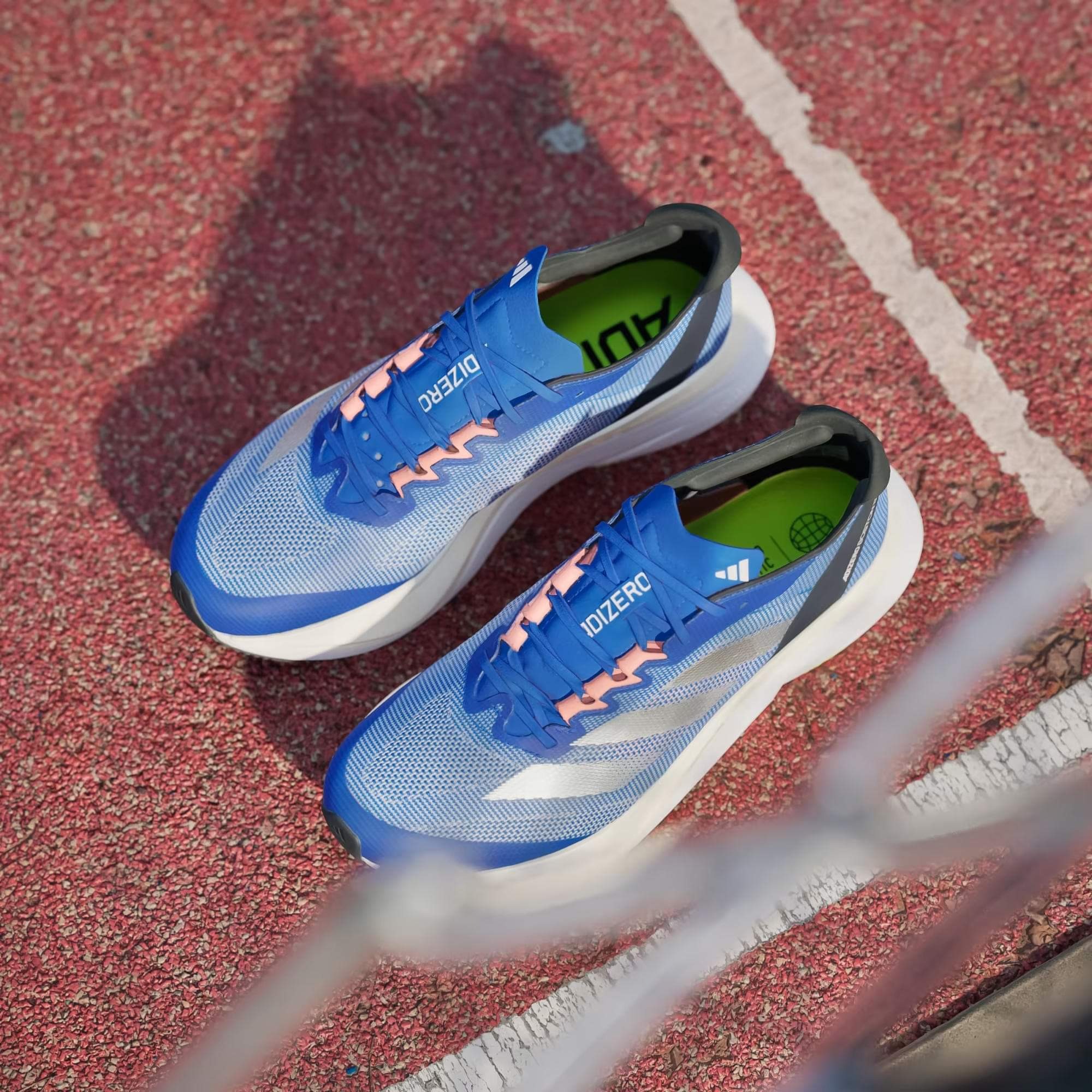 ADIDAS ADIZERO BOSTON 12 - ROYAL BLUE