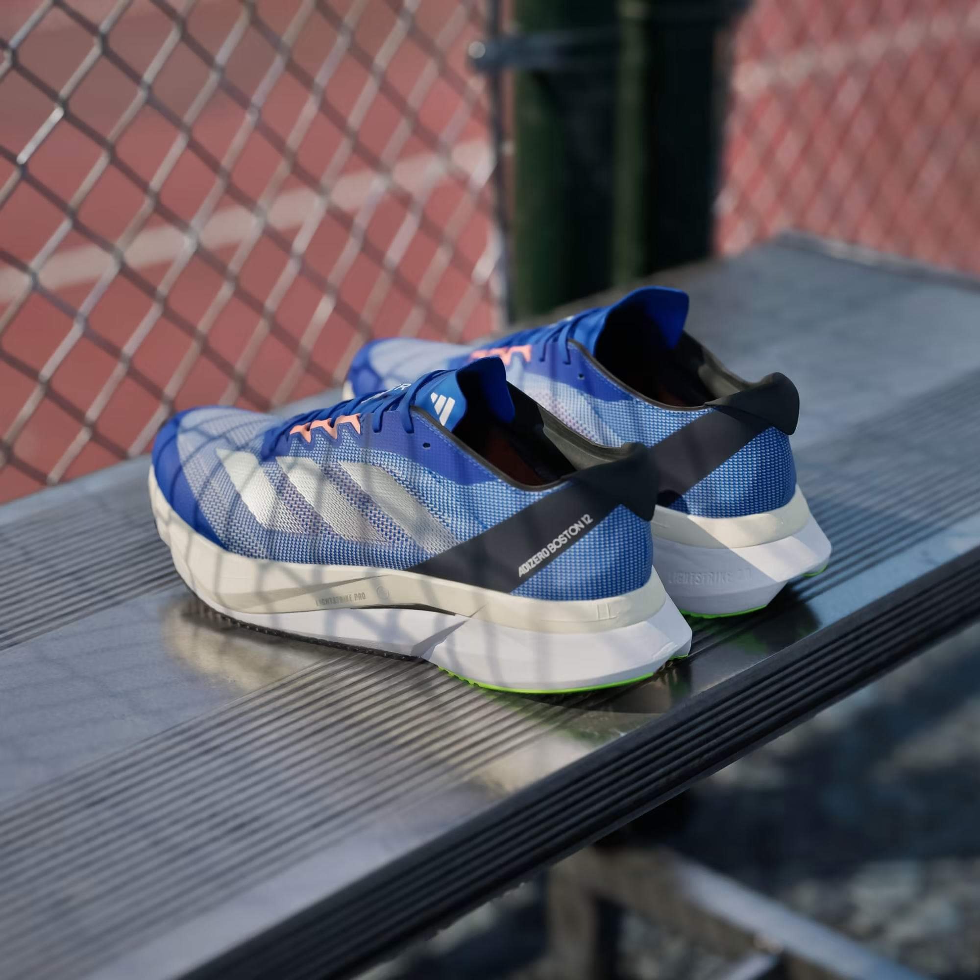 ADIDAS ADIZERO BOSTON 12 - ROYAL BLUE