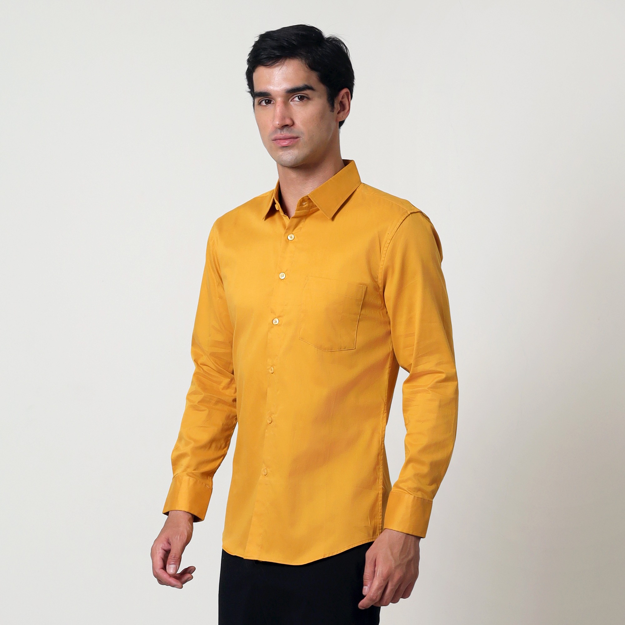 Elegant Shirt LS