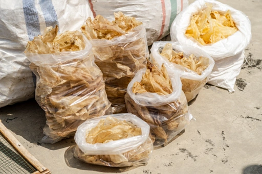 DRIED FISH MAW THREADFIN