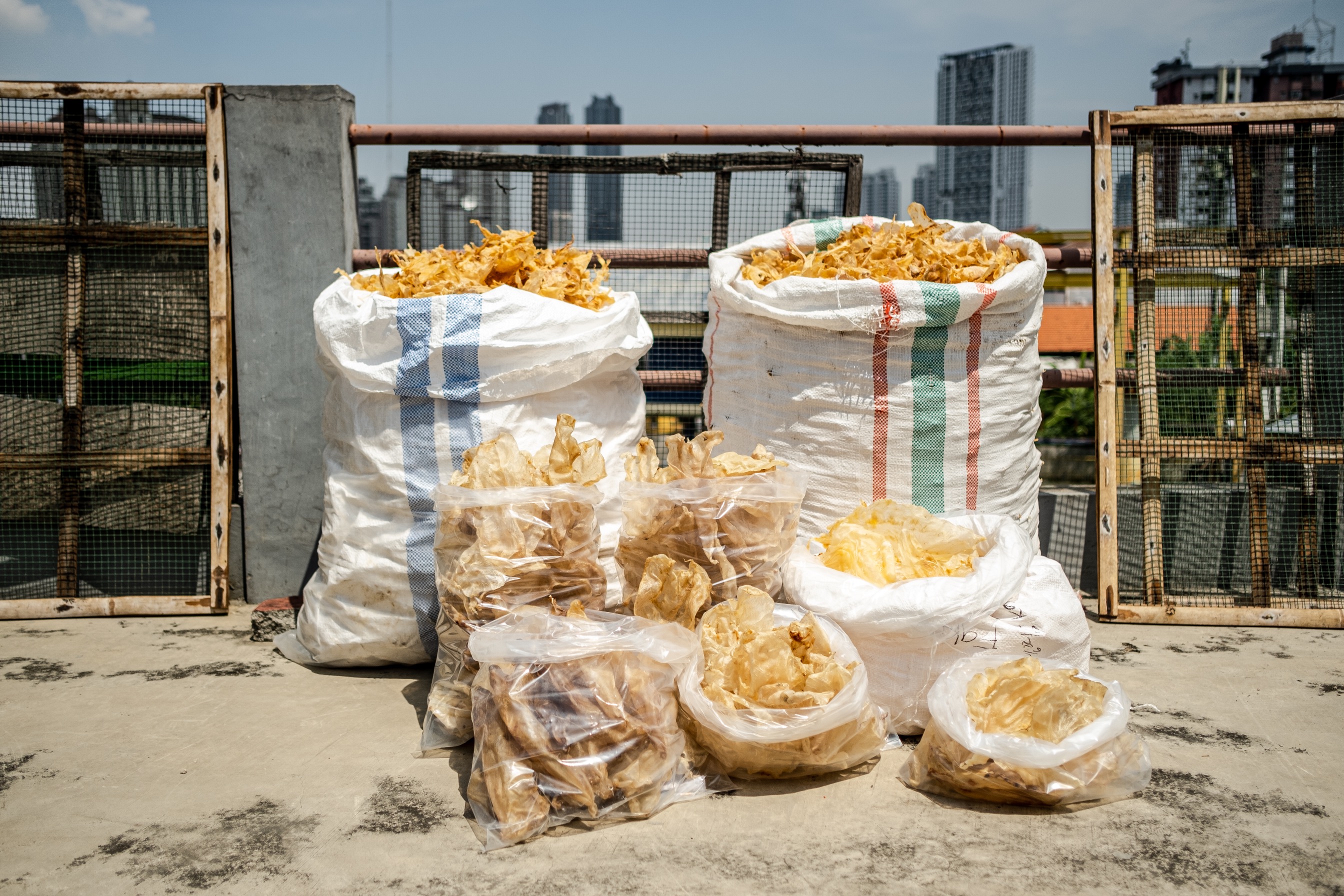 DRIED FISH MAW ASIAN SEABASS