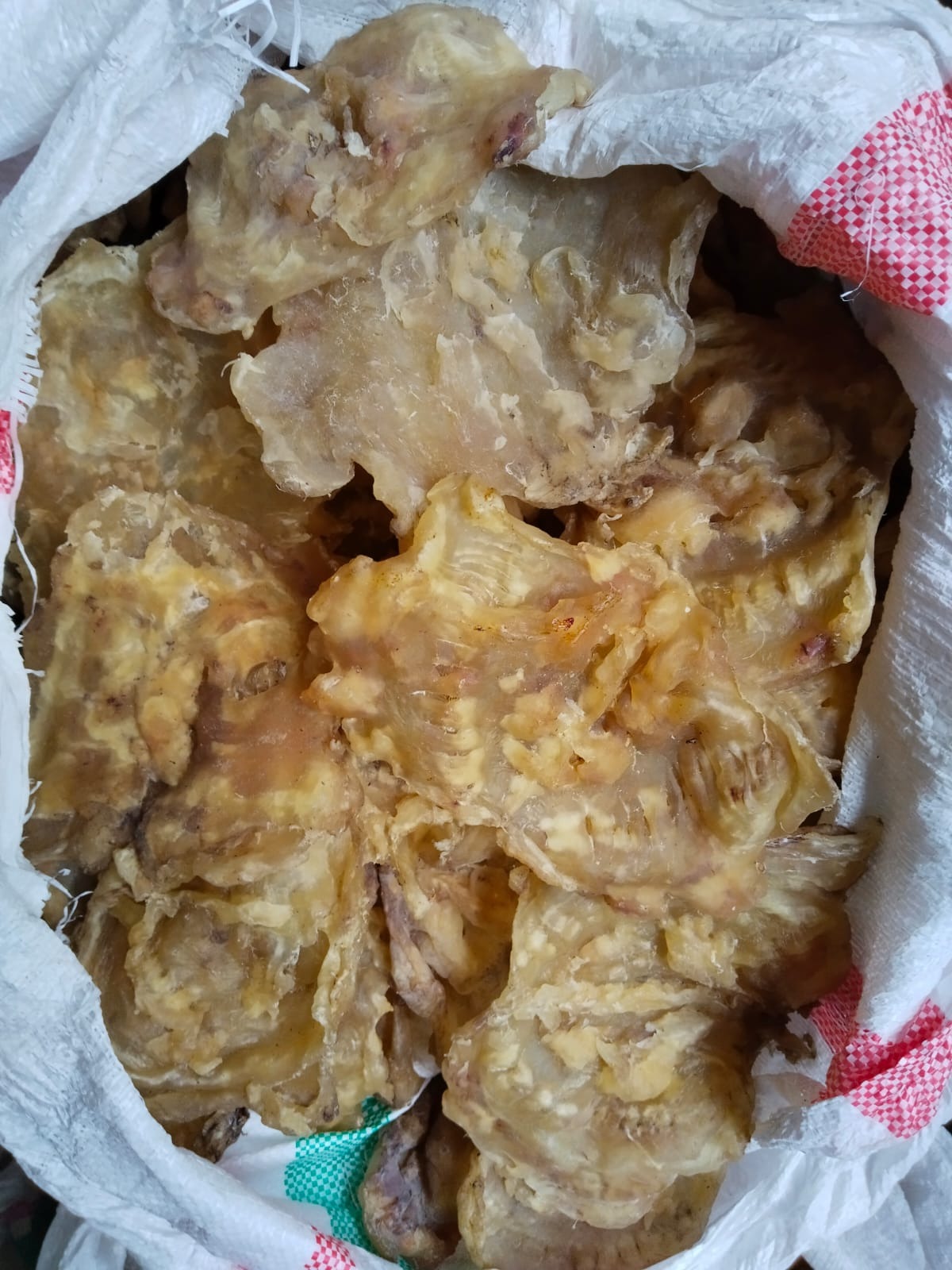 DRIED FISH MAW GROUPER