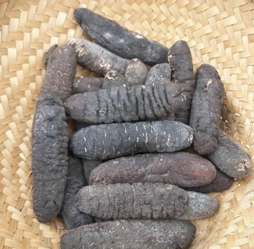 DRIED SEA CUCUMBER  SAND FISH