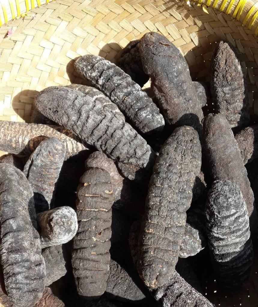 DRIED SEA CUCUMBER  SAND FISH