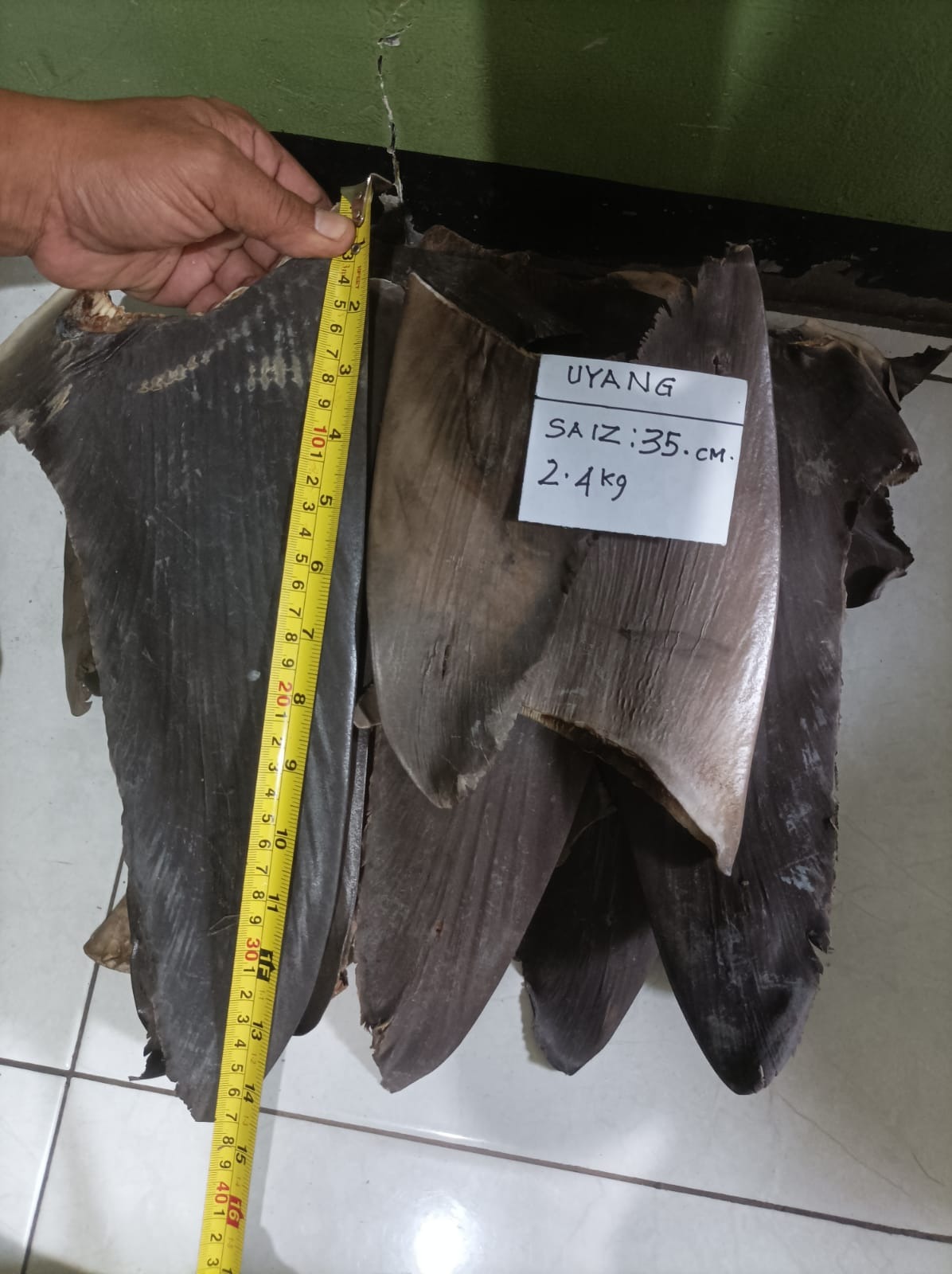 DRIED SHARK FIN RAW 