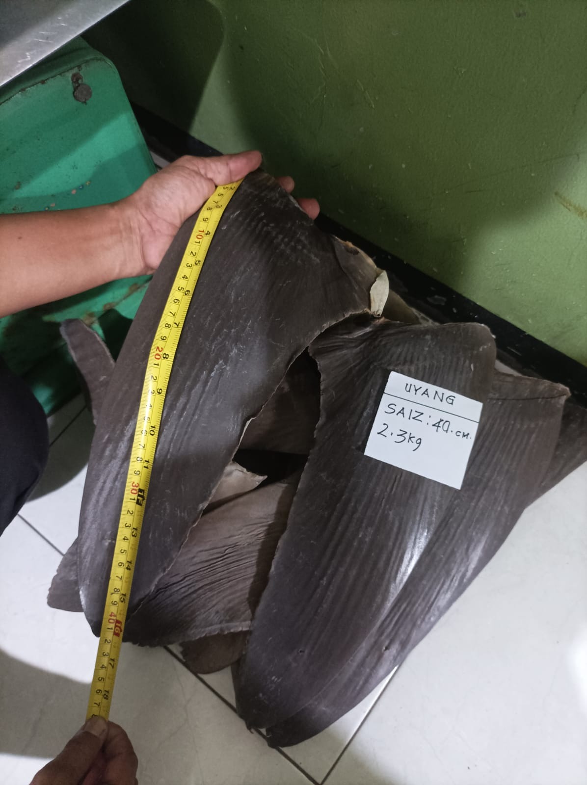 DRIED SHARK FIN RAW 
