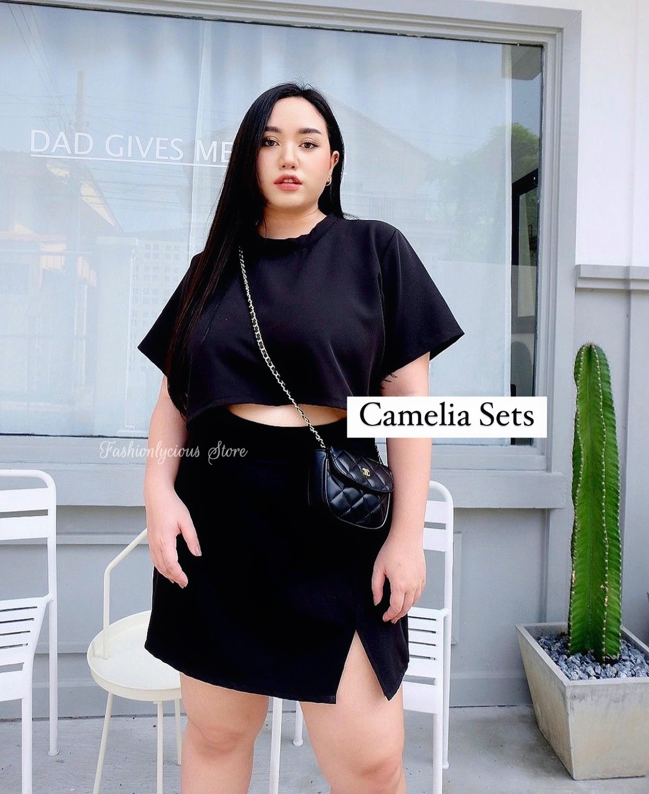 Camelia Sets