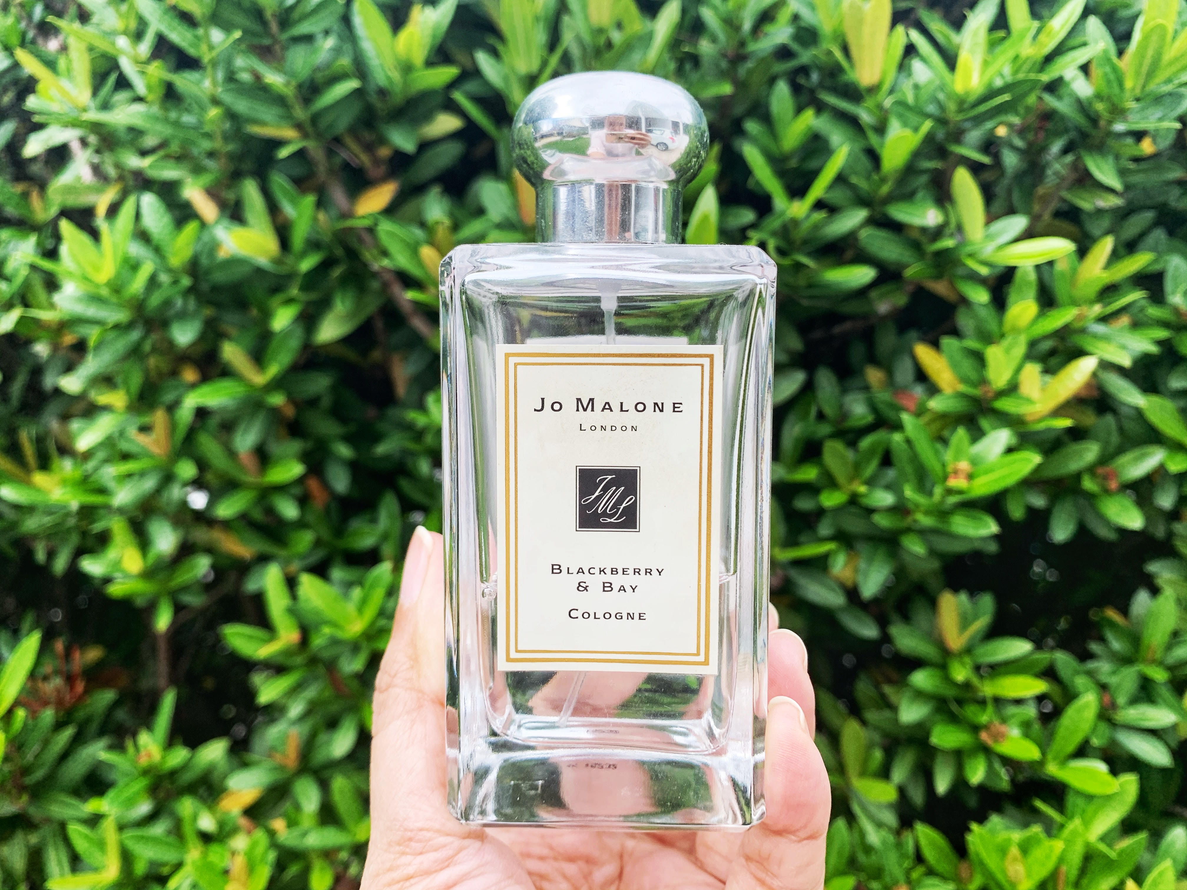 JO MALONE - Blackberry And Bay 