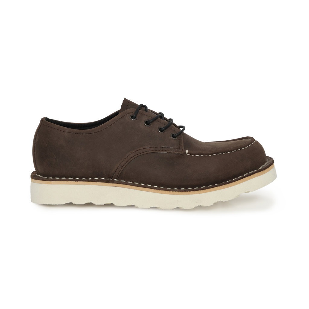 Elton CH Darkbrown
