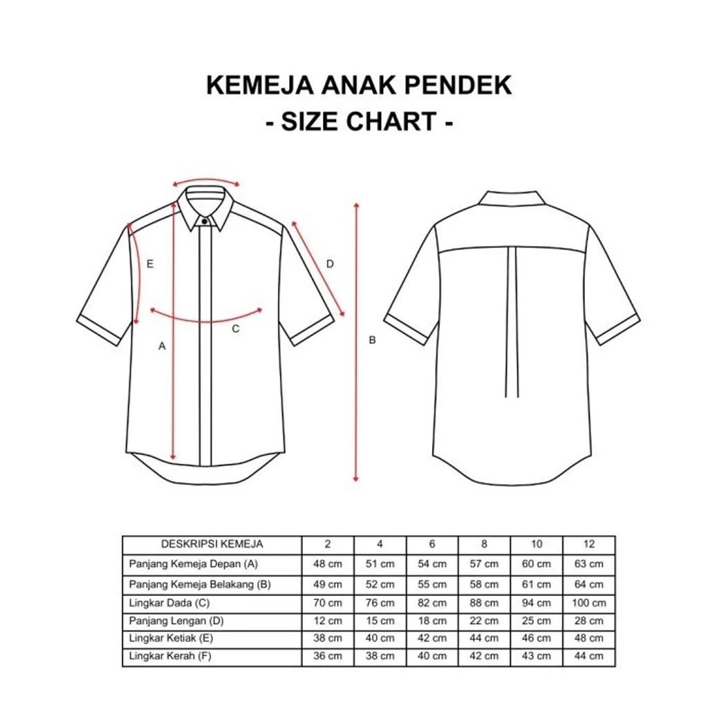 Dama Kara Aksata Embroidery Shirt Kids