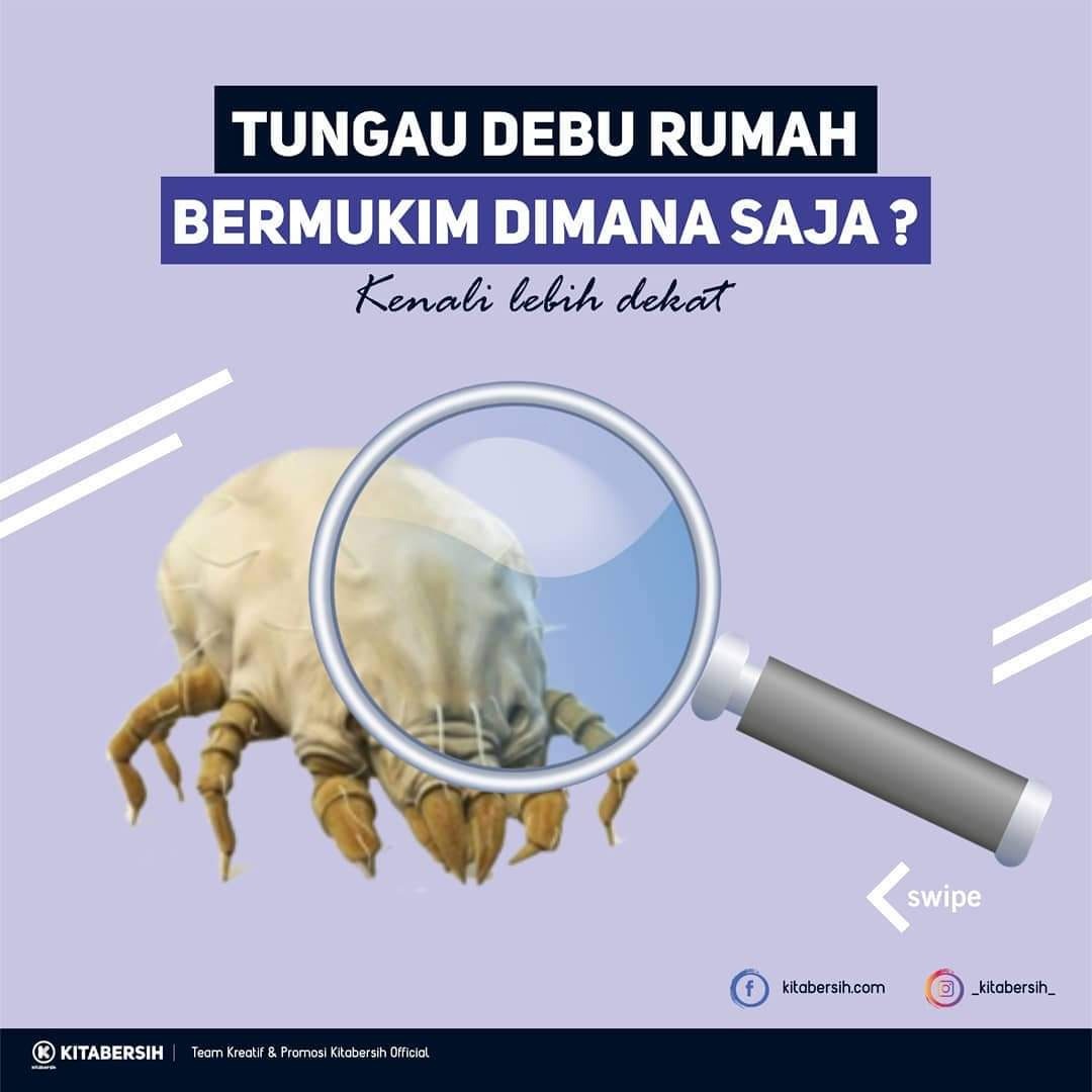 Hydrovaccuum Tungau Debu