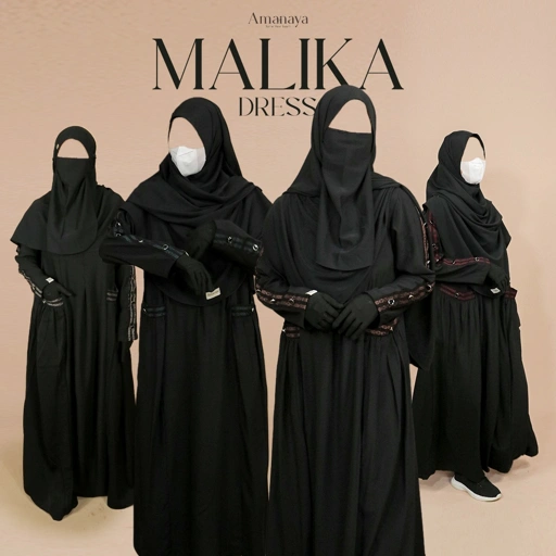 Image of Amanaya Malika Dress