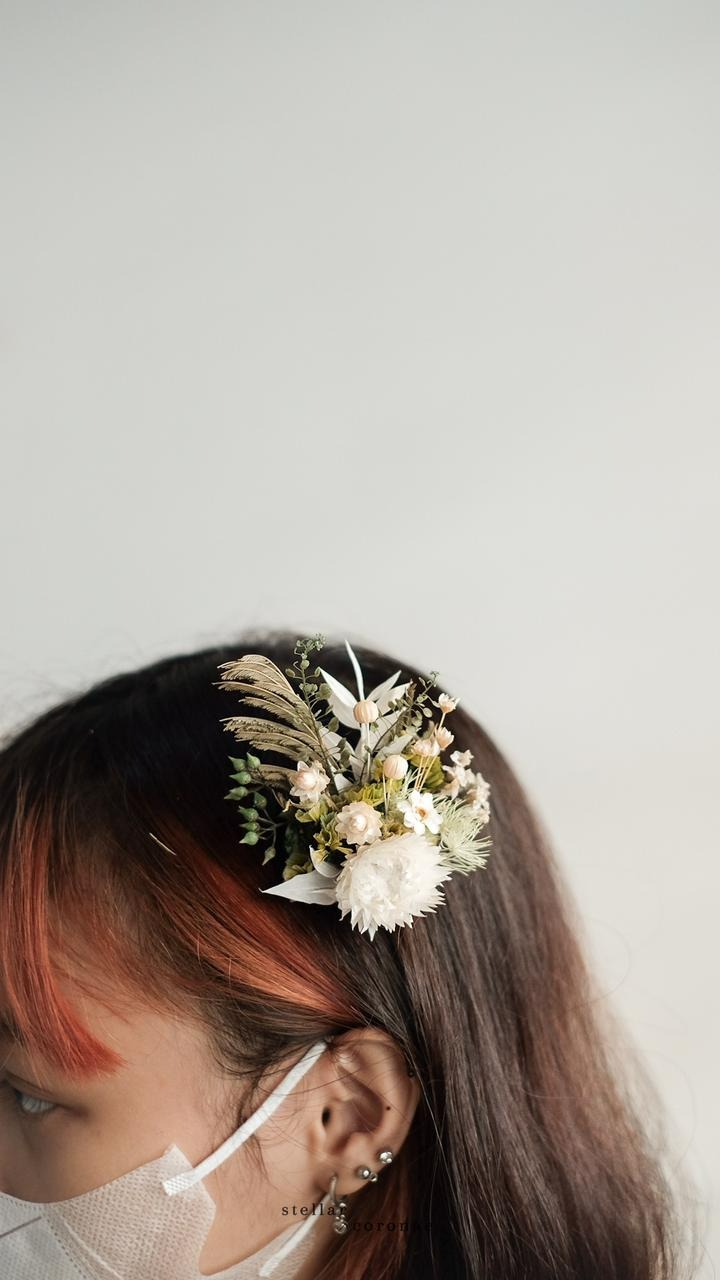 StellarCoronae - Hairpin (M)