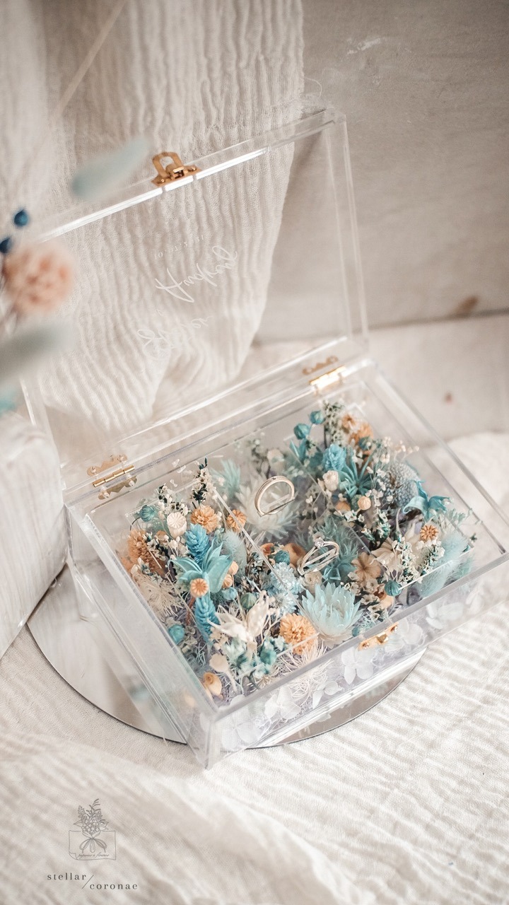 StellarCoronae - Ring Box Small Landscape