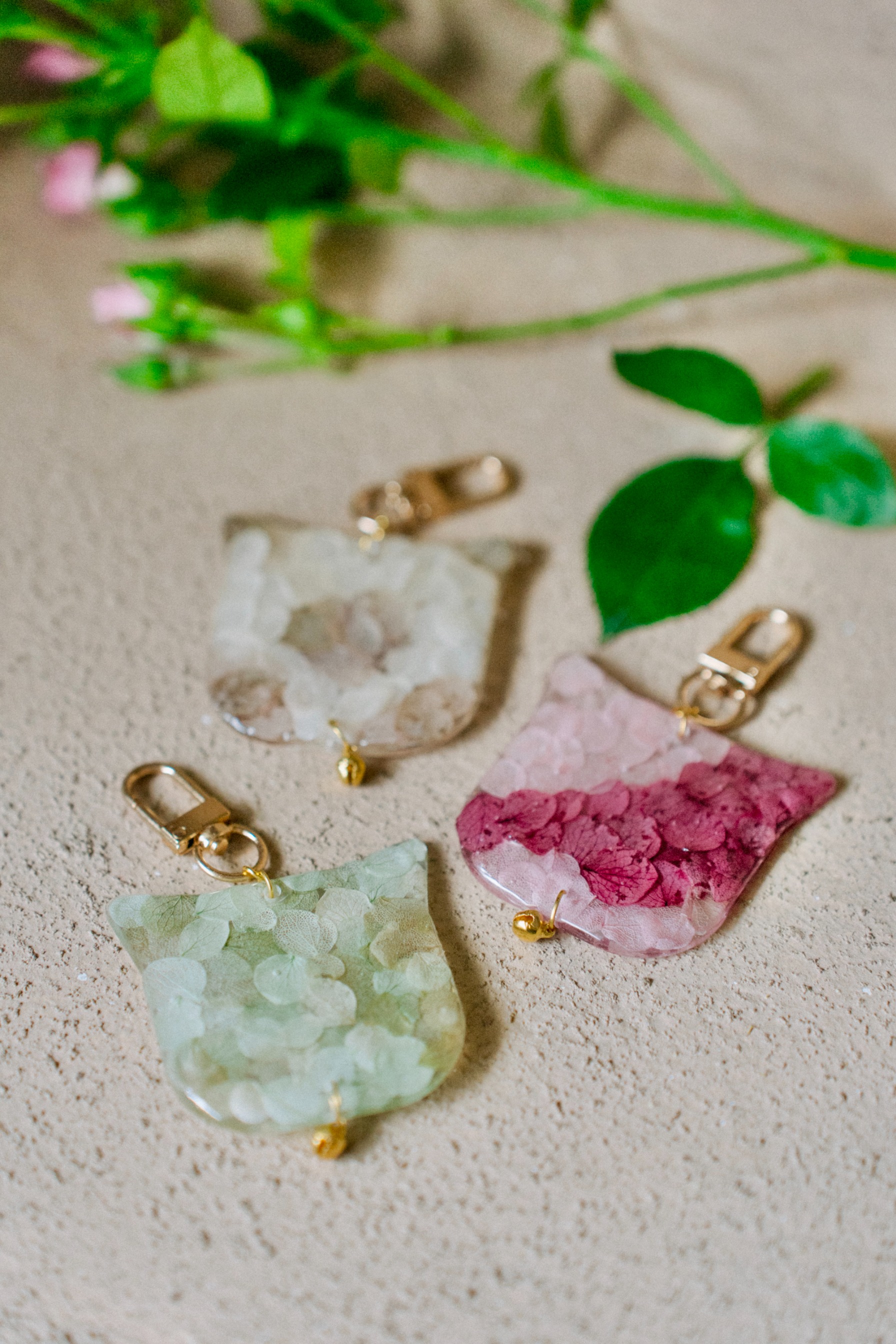 StellarCoronae - Cat Charm