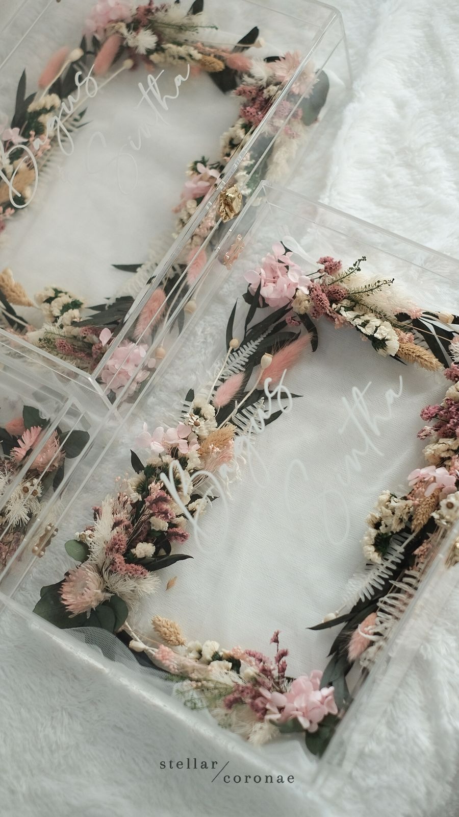 StellarCoronae - Matrimony Box (L)