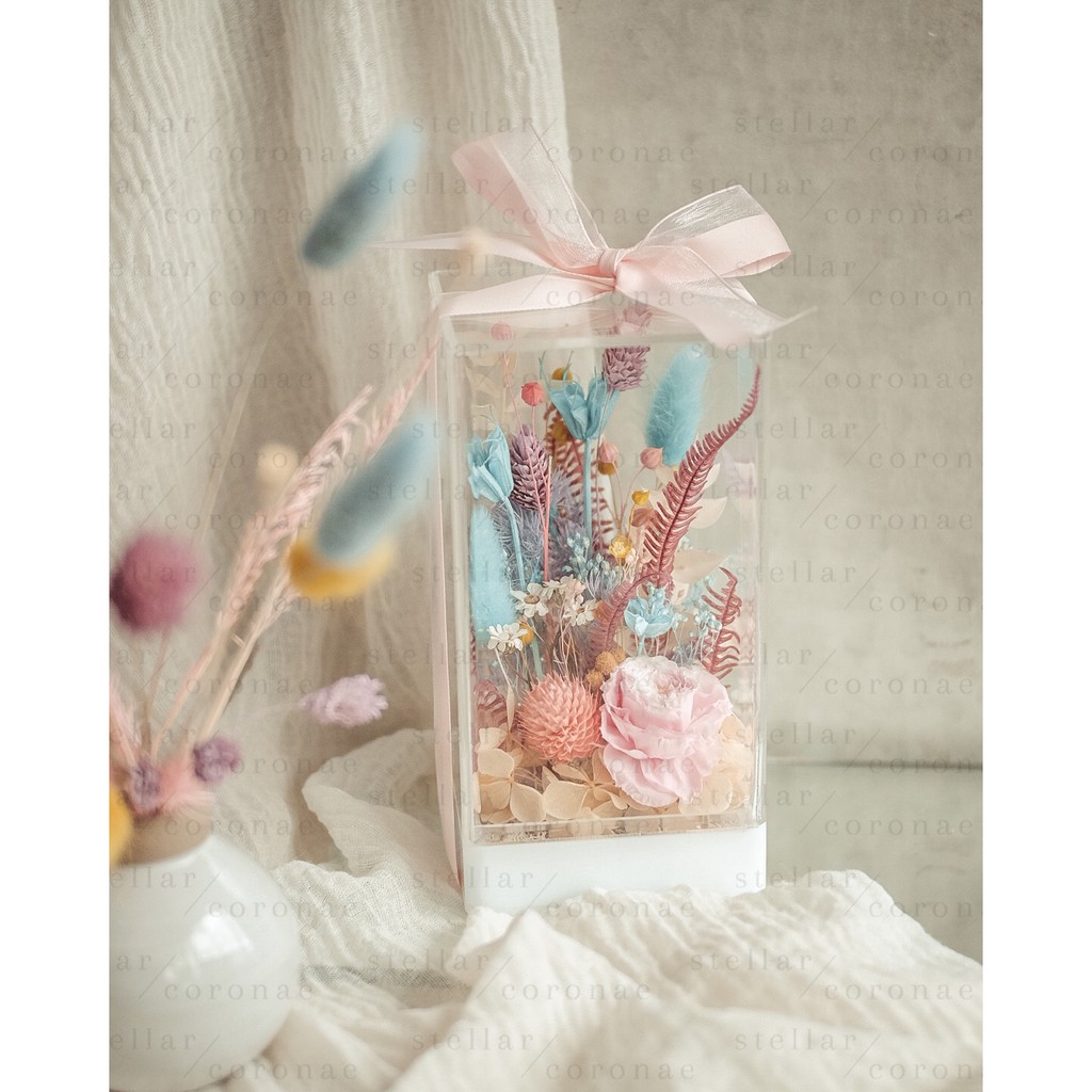 StellarCoronae - Flower Block Seri Colourful | Bunga Kering | Hiasan Bunga | Hadiah | Kado | Kado Hari Ibu | Mother's D