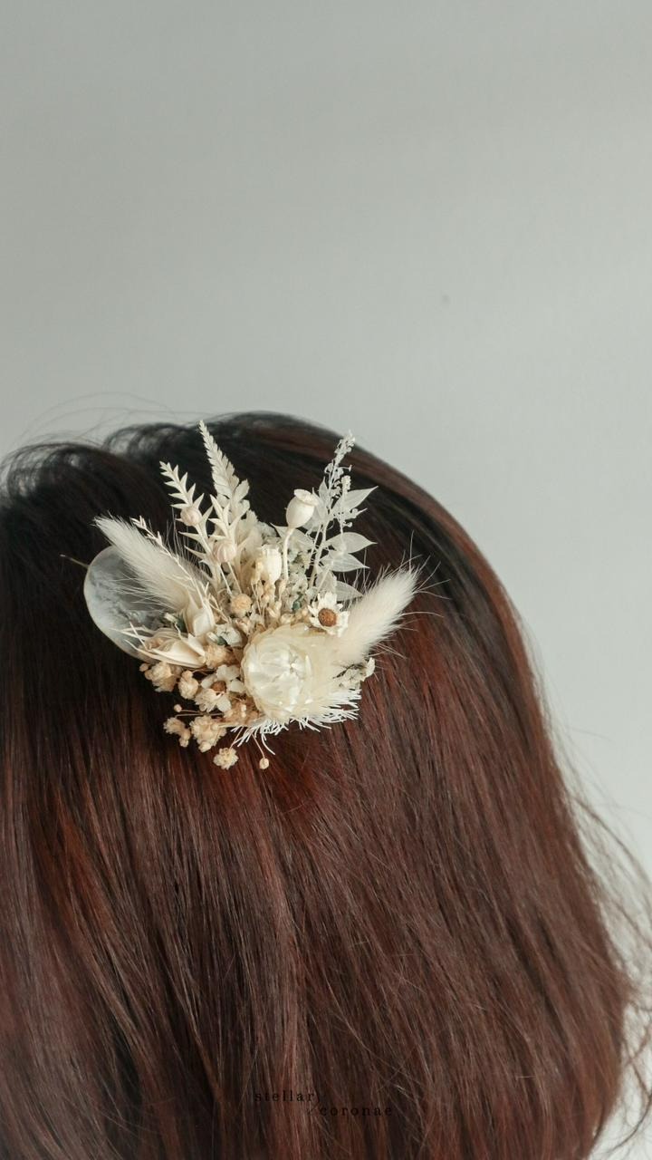 StellarCoronae - Hairpin (M)