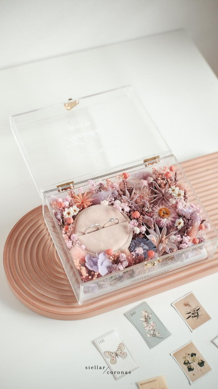 StellarCoronae - Ring Box Small Landscape
