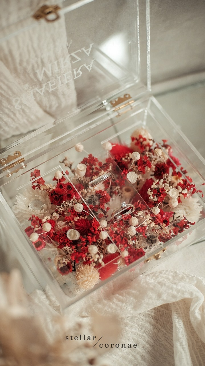 StellarCoronae - Ring Box Small Landscape
