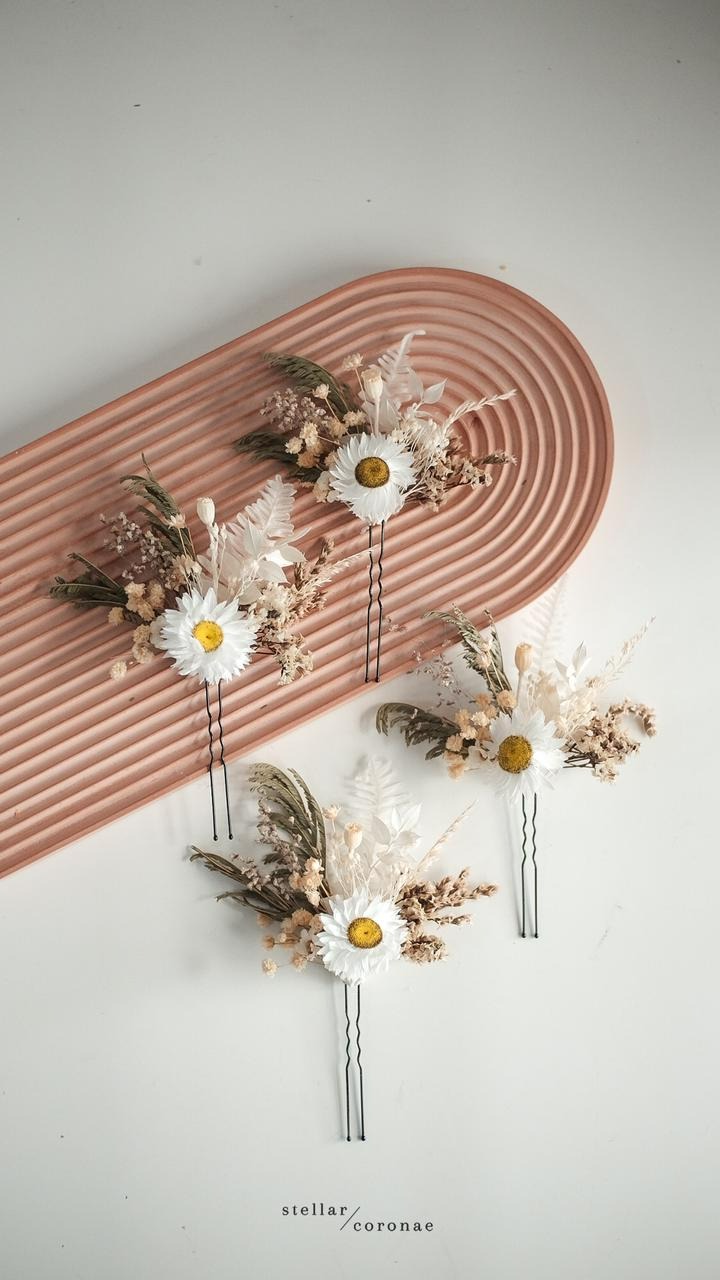 StellarCoronae - Hairpin (M)
